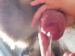 Thumb 10