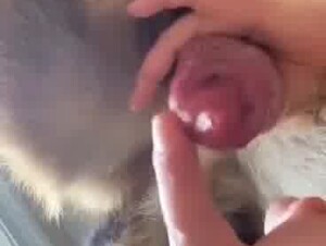 Thumb 6