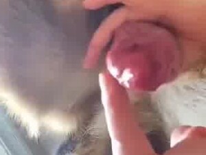Thumb 7
