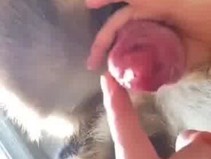 Thumb 8