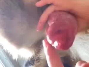 Thumb 9