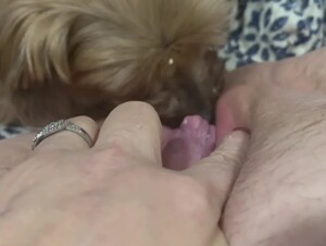 Thumb 7