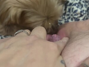 Thumb 8