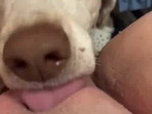 Thumb 6