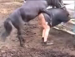Compilation of the craziest zoo fucking with MILFs