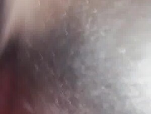 First time with dog