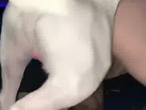 Zoophilia video
