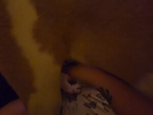 mommys new puppy