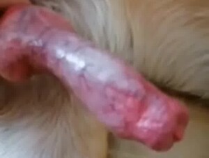 Thumb 9