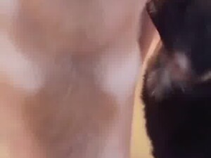 Thumb 9