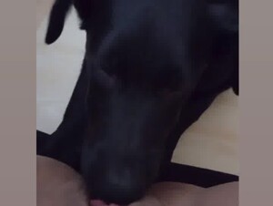 Licking