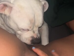 Girl Gets a Good Dog Lick