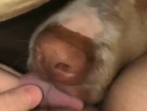 Thumb 10