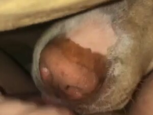 Thumb 6