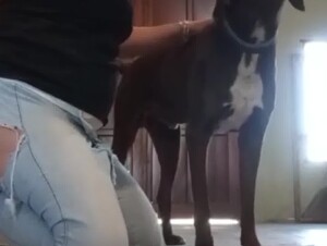 Mom Loves her Dog