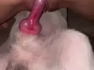 Thumb 7