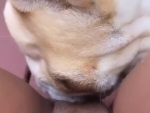 Thumb 10