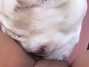 Thumb 6