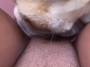 Thumb 8