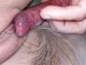 Thumb 10