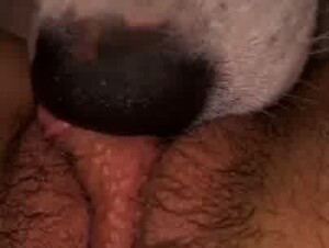 Thumb 6