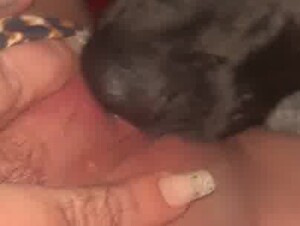 Thumb 8