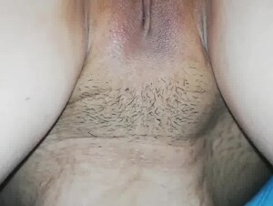 Dog sex asian
