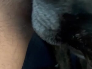 Thumb 8