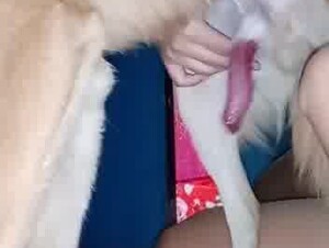 Filipina and her dog