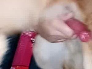 Thumb 7
