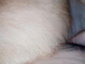 Thumb 6