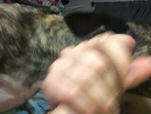 Thumb 2