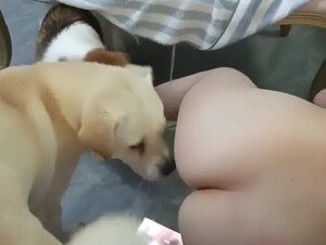 Thumb 10
