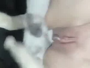 Thumb 6