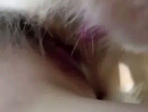 Thumb 7