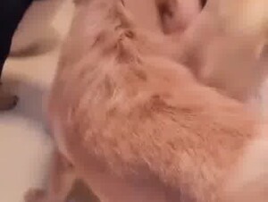 Thumb 7