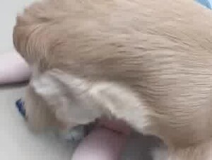 Thumb 9