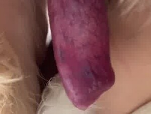 Thumb 10