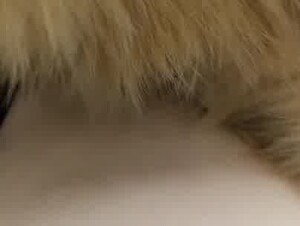 Thumb 8
