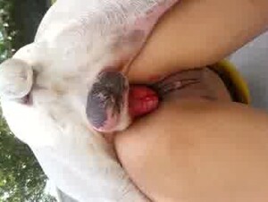 Thumb 6