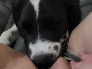 Thumb 7
