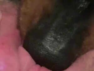 Thumb 10