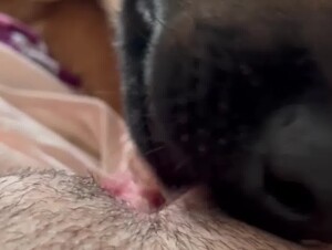 Thumb 6
