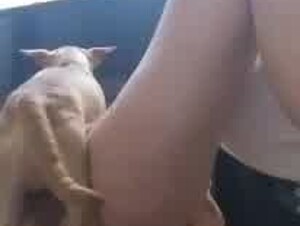 Thumb 6