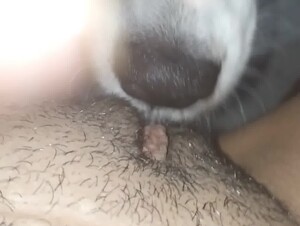 Thumb 8