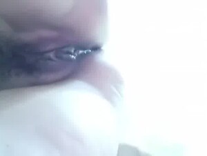chinese dogsitter lets all the dogs have a go
