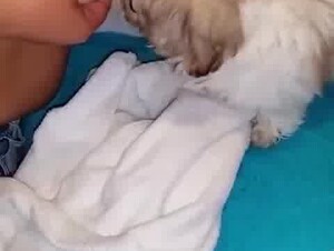 Dog likes breast milk