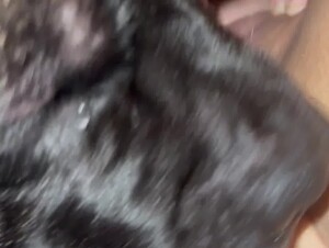 Thumb 8