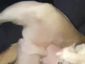 Thumb 4