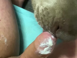 Thumb 8